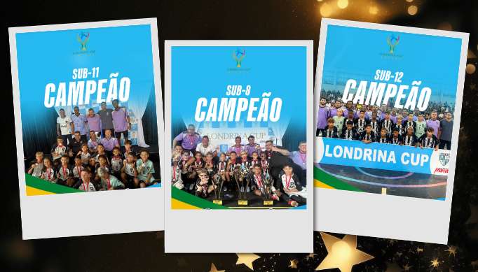 Imagem carregada